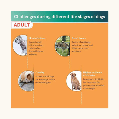 Himalaya Meat & Rice Healthy Pet Adult Dog Dry Food 1.2Kg